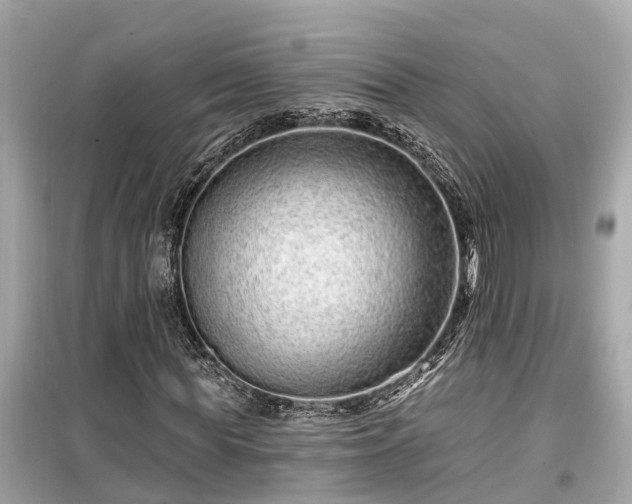X0000099500819200805221358