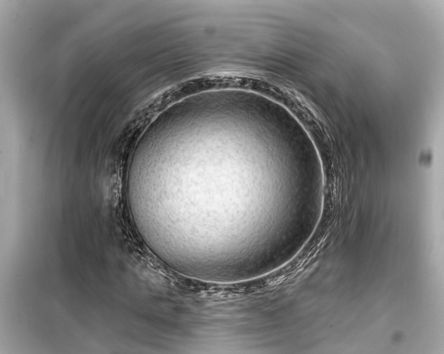 X0000099500821200805221358