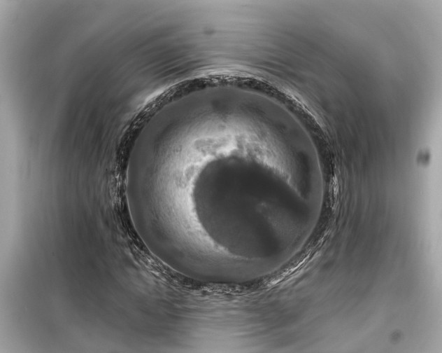 X0000099500822200805221358