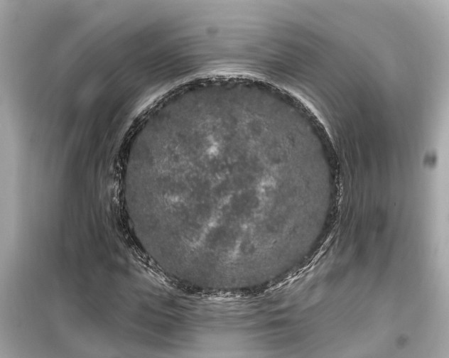 X0000099500823200805221358