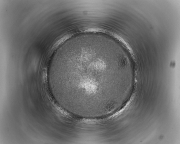 X0000099500825200805221359