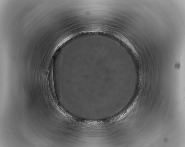X0000099500826200805221359