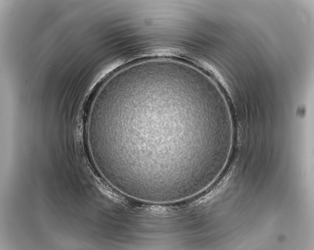 X0000099500827200805221359