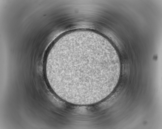 X0000099500828200805221359
