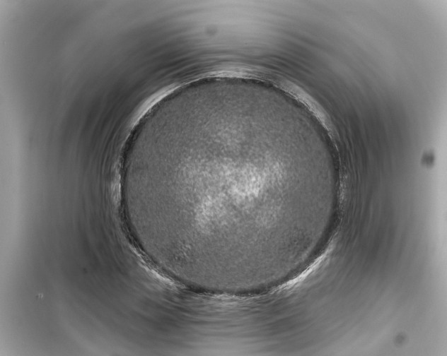 X0000099500829200805221359