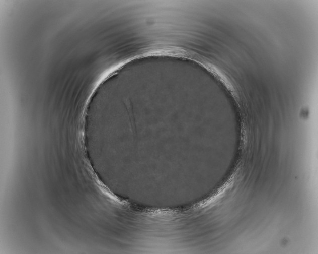 X0000099500830200805221359