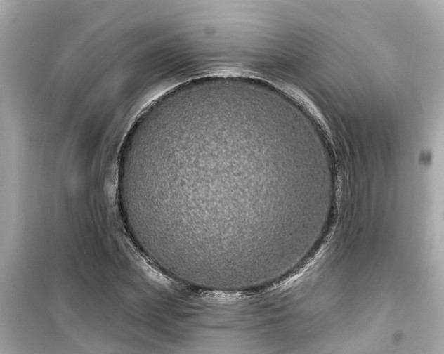X0000099500831200805221359