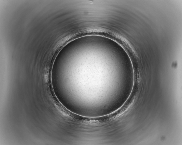 X0000099500833200805221359