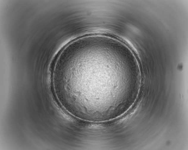 X0000099500835200805221359