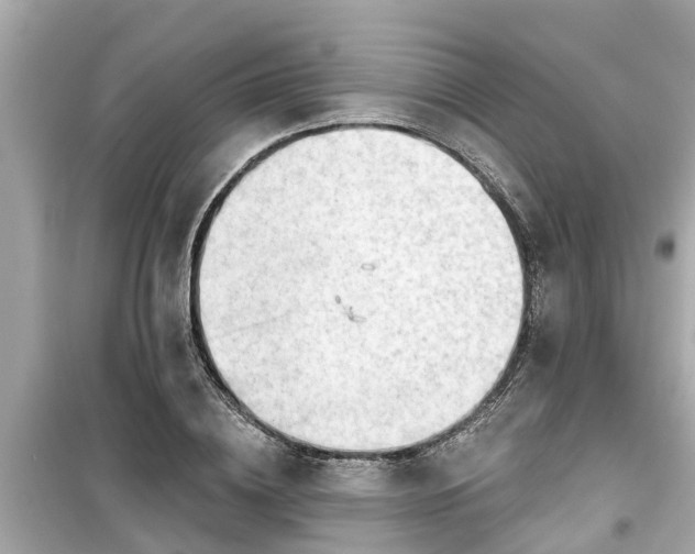 X0000099500836200805221359
