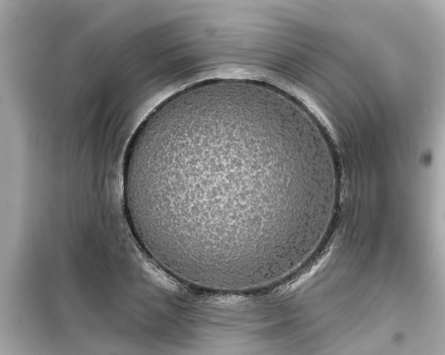 X0000099500837200805221359