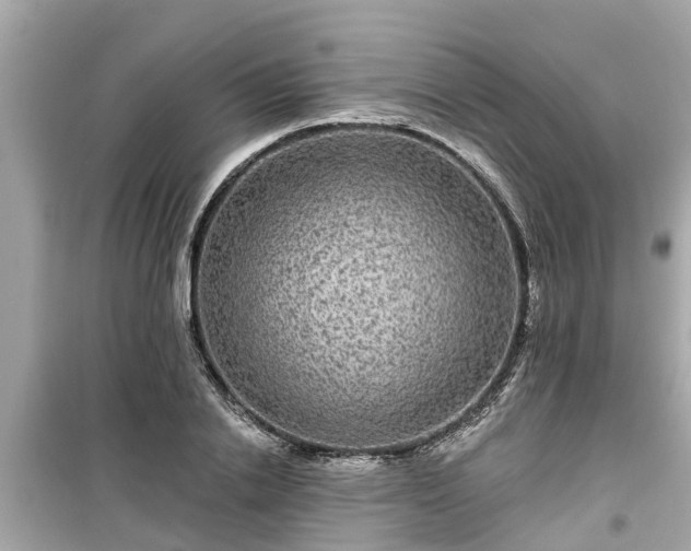 X0000099500838200805221359