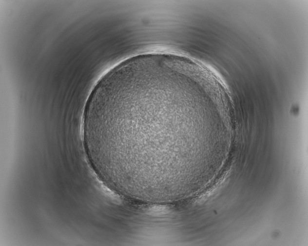 X0000099500839200805221359