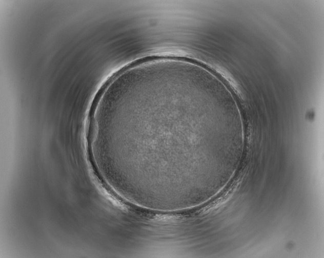 X0000099500840200805221359