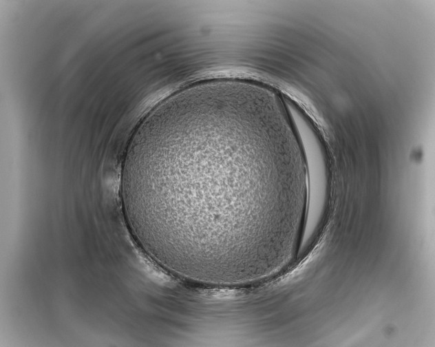 X0000099500841200805221359