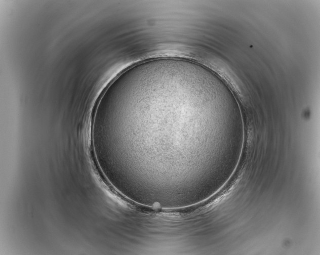X0000099500844200805221359