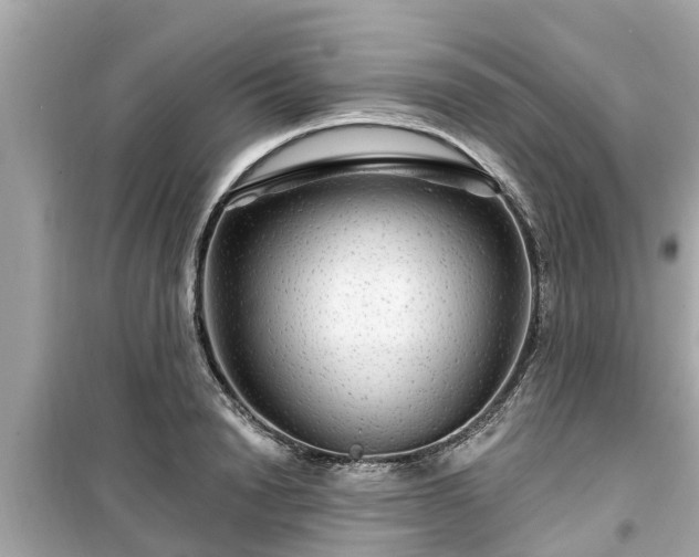 X0000099500846200805221359