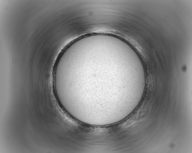 X0000099500848200805221359