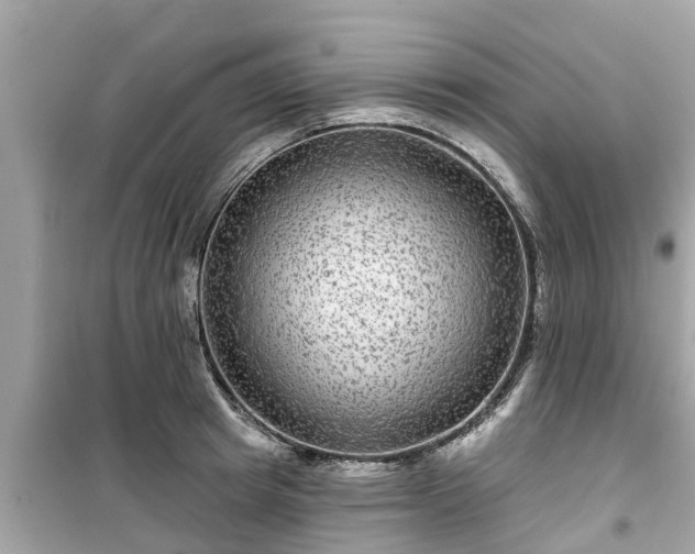 X0000099500849200805221359