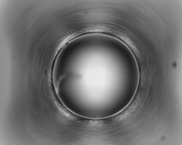 X0000099500850200805221359