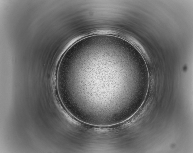 X0000099500852200805221359