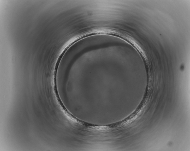 X0000099500853200805221359