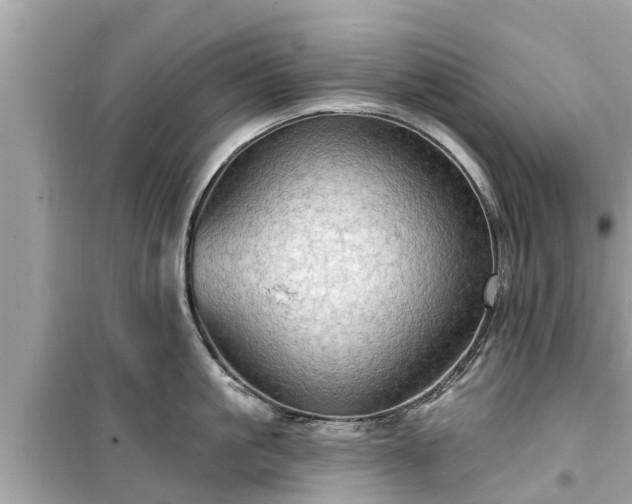 X0000099500861200805221359