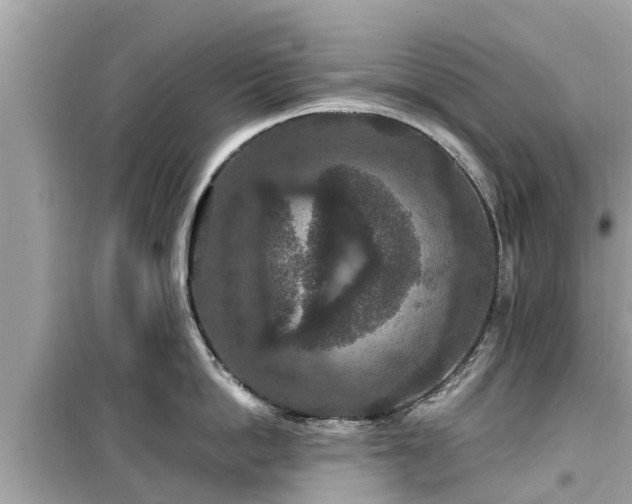 X0000099500862200805221359