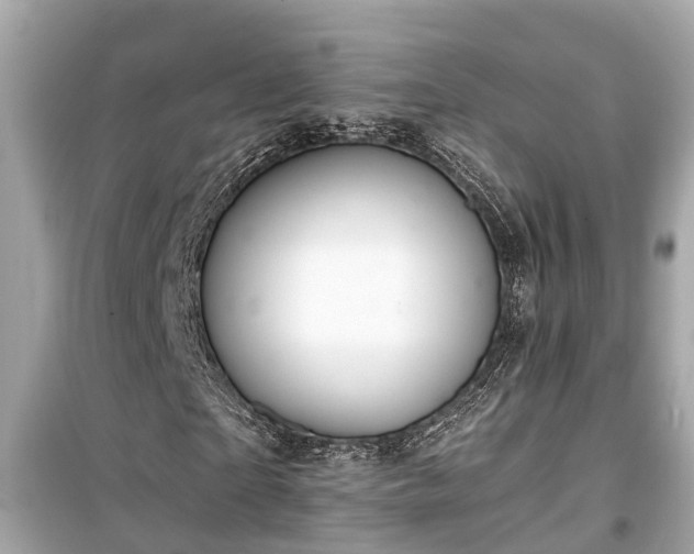 X0000099500865200805221358