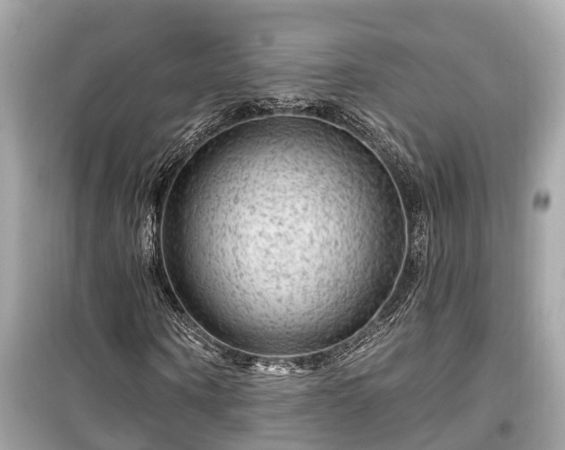 X0000099500866200805221358