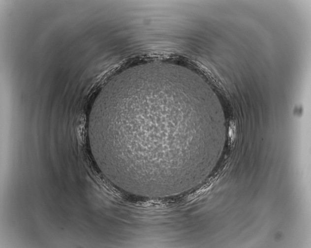 X0000099500867200805221358