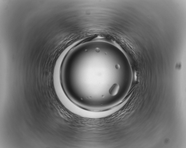 X0000099500868200805221358
