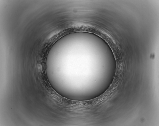 X0000099500869200805221358
