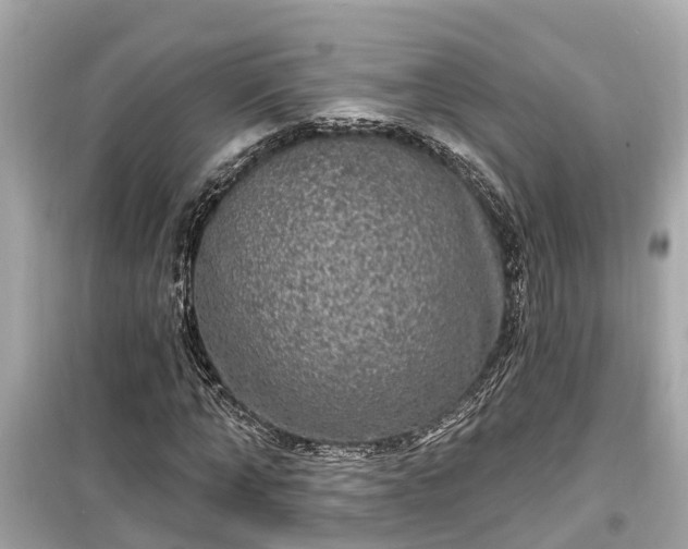 X0000099500870200805221358