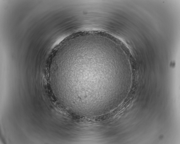 X0000099500871200805221358