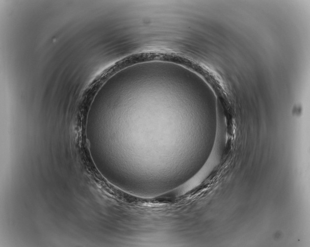 X0000099500872200805221358