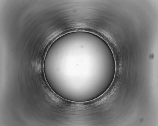 X0000099500873200805221358