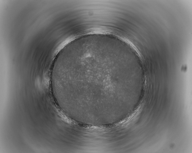 X0000099500874200805221358