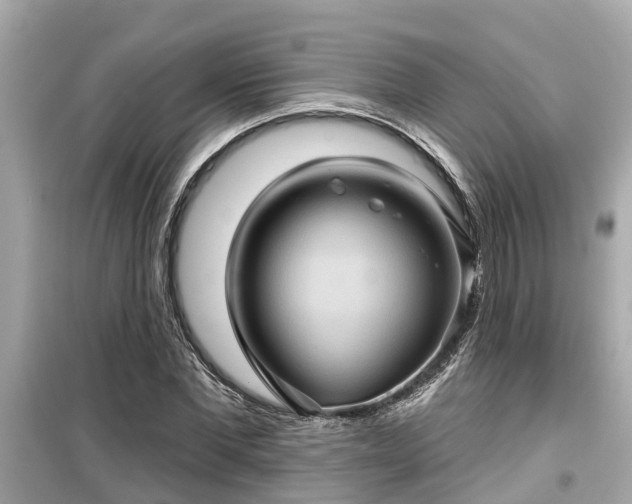 X0000099500877200805221358
