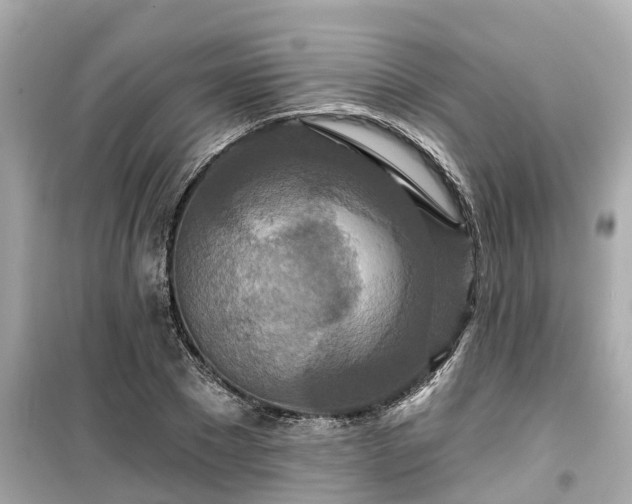 X0000099500881200805221358