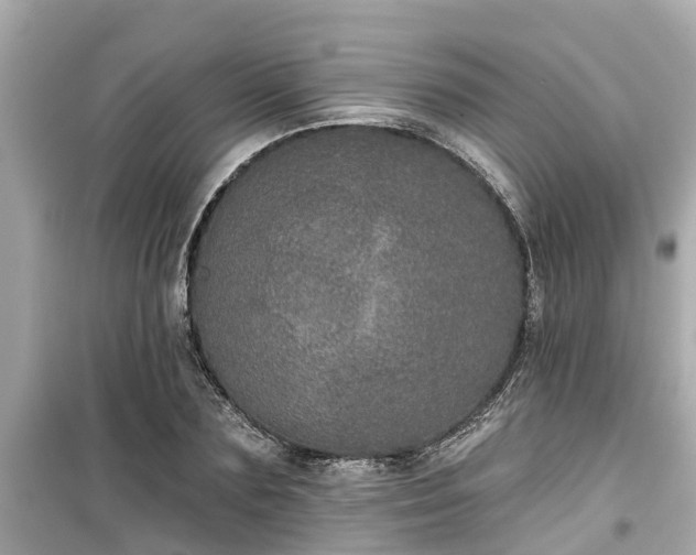 X0000099500883200805221358