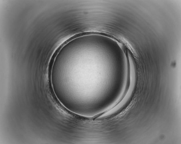 X0000099500884200805221358