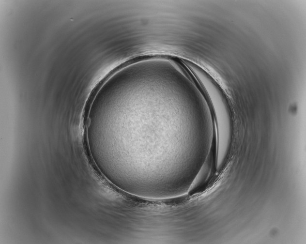 X0000099500885200805221358