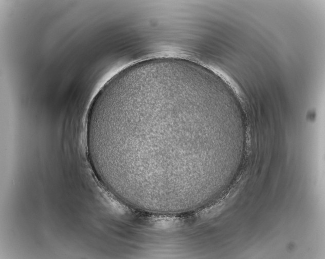 X0000099500886200805221358