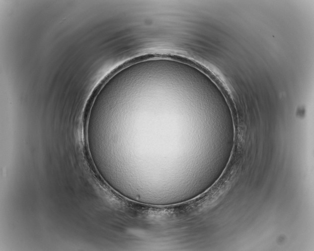 X0000099500887200805221358