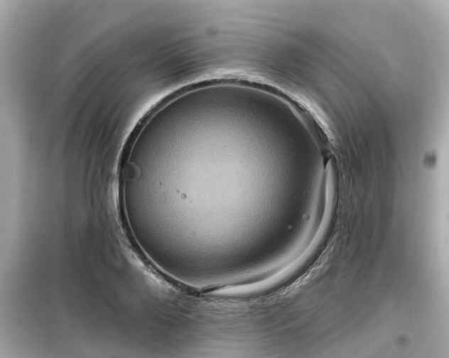 X0000099500888200805221358