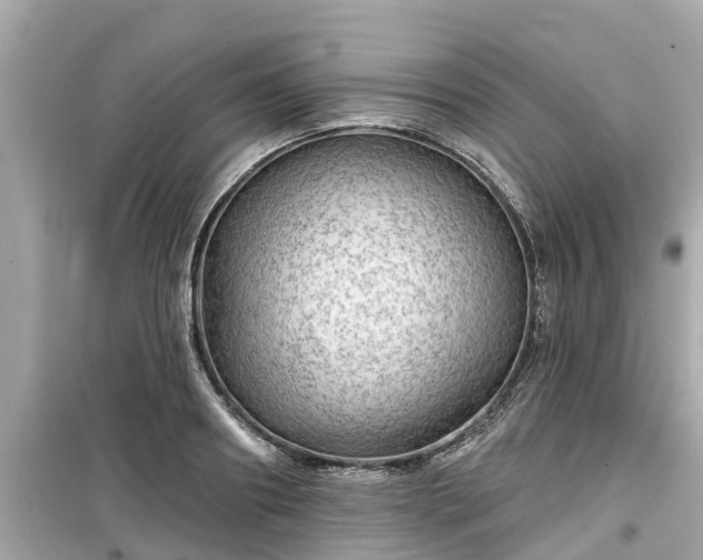 X0000099500890200805221358