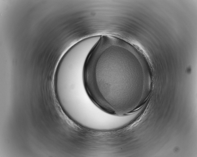 X0000099500892200805221358