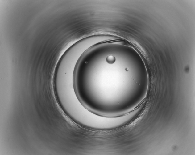 X0000099500893200805221358