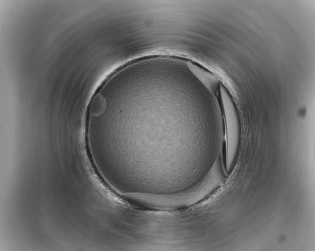 X0000099500896200805221358
